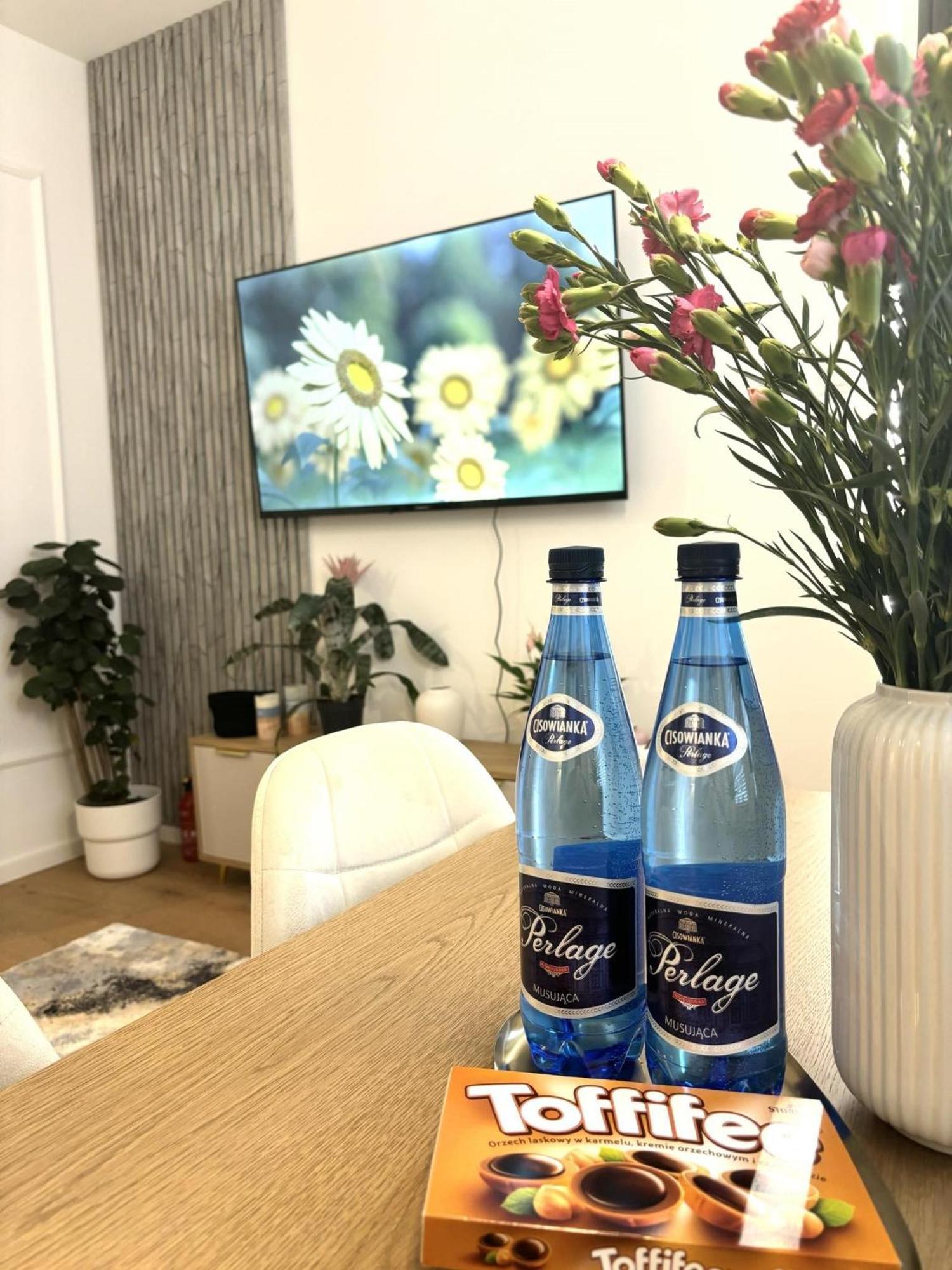 Apartament Pod Wieza 1 Валбжих Екстериор снимка